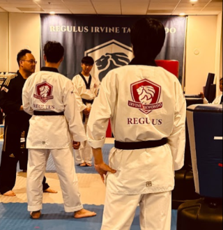 Mastering the Art - Effective Strategies for Teaching Taekwondo