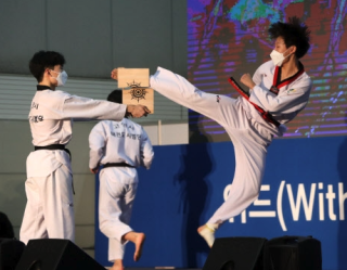 Mastering Taekwondo Board Breaking: Techniques, Types, and Proper Usage