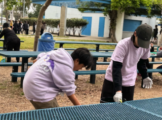Reflections on a Year of Volunteering at Torrance Wilson Park: Season in 2023-2024