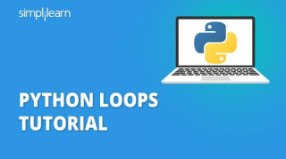 Python While Loops/For Loops
