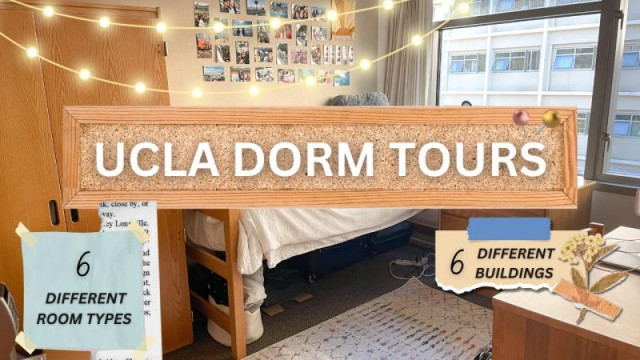 Exploring UC Los Angeles (aka UCLA) - School and its Majors