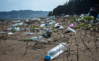 The Chronicles of a Trash Whisperer that I learned at Santa Ana River Palos Verdes