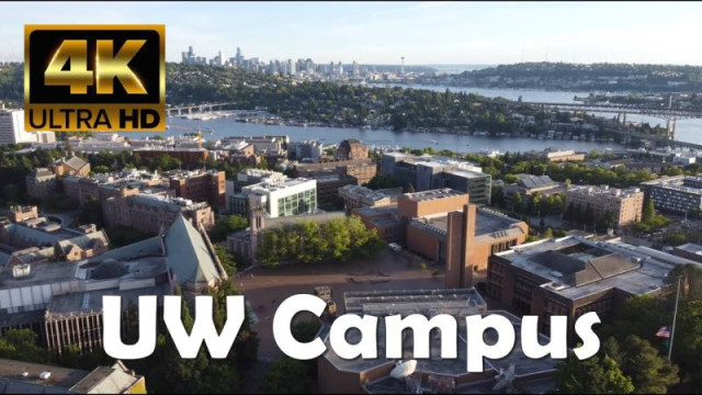 Exploring University of Washington (aka UW) - Schools and Majors