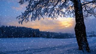 Annual Weather Forecasting in Illinois based on Month