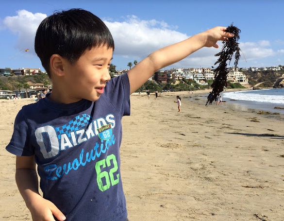 Johnny and Jane's Memories at Corona Del Mar