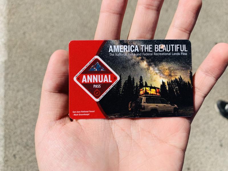 Sun, Rocks, and Adventure: A Day at Joshua Tree National Park