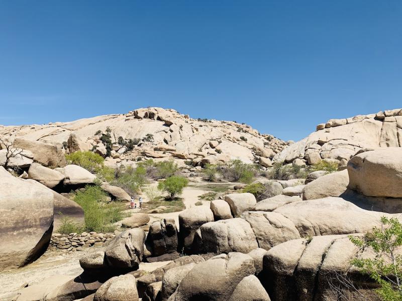 Sun, Rocks, and Adventure: A Day at Joshua Tree National Park