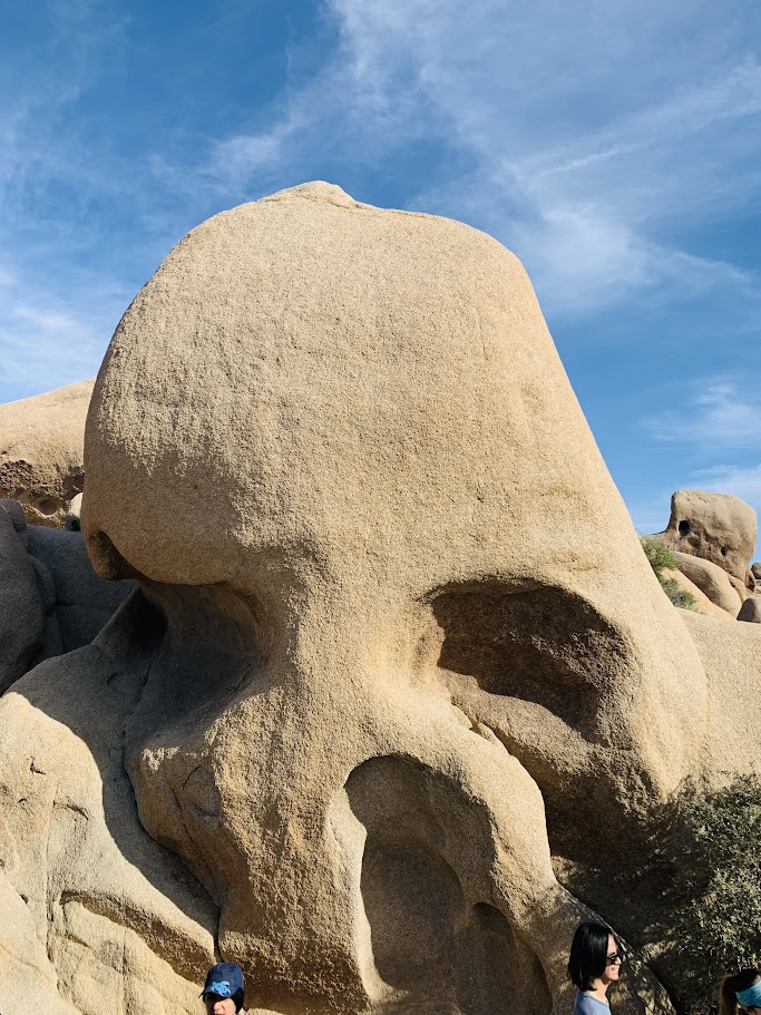 Sun, Rocks, and Adventure: A Day at Joshua Tree National Park