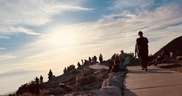 Sun, Rocks, and Adventure: A Day at Joshua Tree National Park