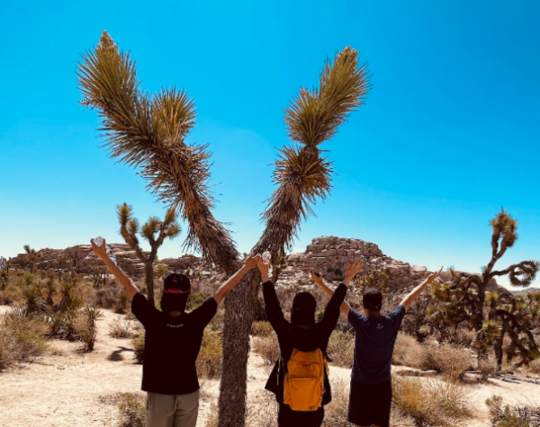Sun, Rocks, and Adventure: A Day at Joshua Tree National Park