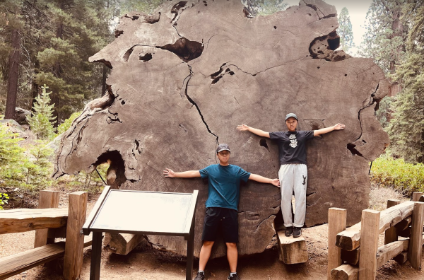 Exciting explore at Sequoia National Park