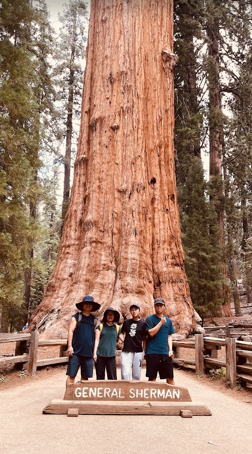 Exciting explore at Sequoia National Park