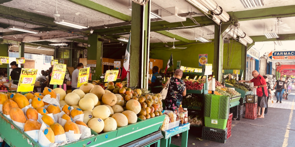 Enchanting Tijuana, BC, Mexico - A Journey Through Warmth, Flavor, and Wonder Below San Jose