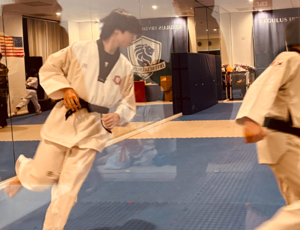 My Journey as a Taekwondo Assistant Master