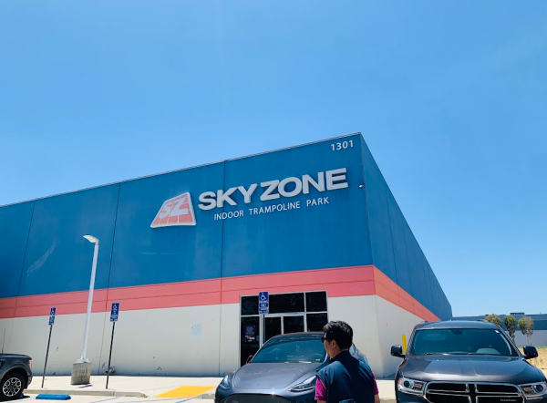 Soaring to New Heights: A Thrilling Adventure at Sky Zone Trampoline Park
