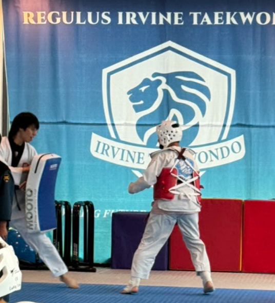 Teaching Taekwondo to Kids: More Than Just Movements