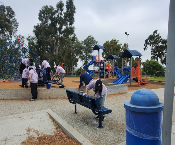 Reflections on a Year of Volunteering at Torrance Wilson Park: Season in 2023-2024