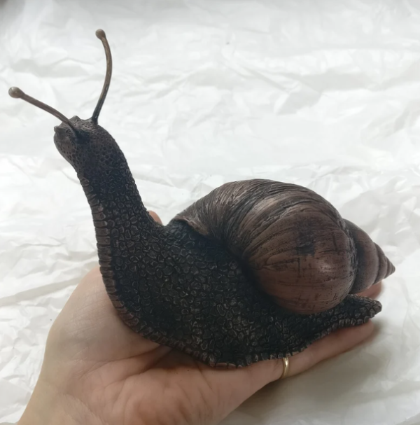 Amazing creature - The world's biggest snail - Giant African Land Snails