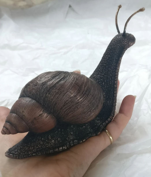 Amazing creature - The world's biggest snail - Giant African Land Snails