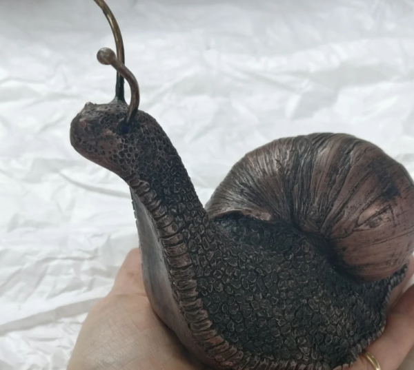 Amazing creature - The world's biggest snail - Giant African Land Snails