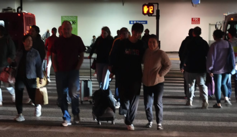 LAX Thanksgiving Rush: A Joyful Reunion