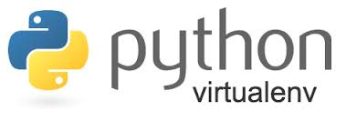Clean Python Environments: The Power of venv vs. Docker